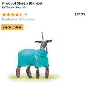WEAVER LIVESTOCK PROCOOL SHEEP/GOAT BLANKET LARGE-TEAL